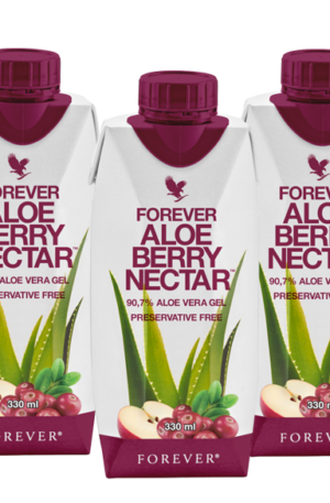 4PACK ALOE BERRY NECTAR